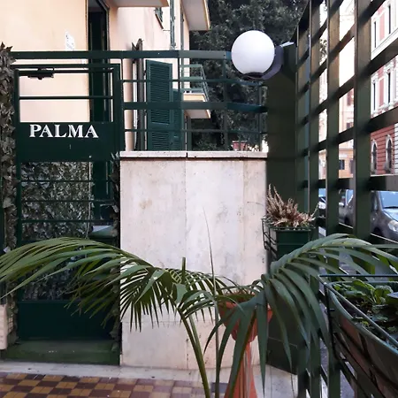 Palma-3